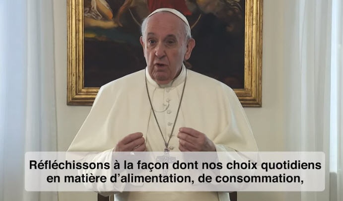 Le Pape: « Prions pour un monde ‘éco-durable’ »